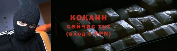 мет Новозыбков