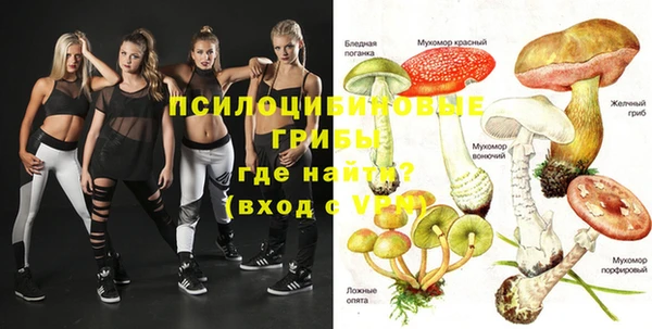 МДПВ Новокубанск