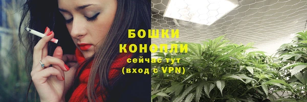 хмурый Няндома