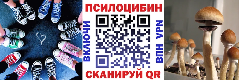 Галлюциногенные грибы Magic Shrooms  blacksprut ONION  Луза 